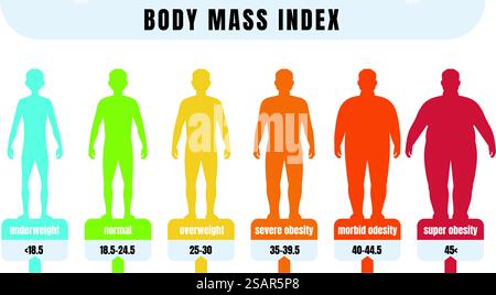 Man IMC. Infographie de l'indice de masse corporelle chez les hommes de poids normal et obèses. Schéma de diagnostic médical. Silhouettes de silhouettes grasses et maigres. Échelle vectorielle du diagnostic d'insuffisance pondérale ou d'adiposité. Man IMC. Infographie de l'indice de masse corporelle chez les hommes de poids normal et obèses. Silhouettes grasses et maigres. Schéma de diagnostic médical. Diagnostic d'insuffisance pondérale ou d'adiposité vectorielle Illustration de Vecteur