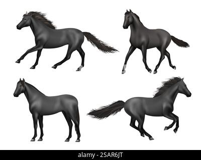 Chevaux galopants. Animaux en cours d'exécution réaliste cheval de selle beauté brun animal de puissance décent illustrations vectorielles. Ferme d'animaux de cheval à l'équitation. Chevaux galopants. Animaux en cours d'exécution réaliste cheval de selle beauté brun animal de puissance décent illustrations vectorielles Illustration de Vecteur