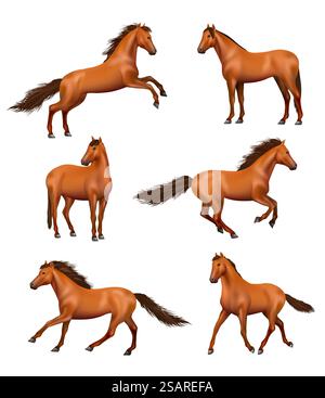 Cheval réaliste. Chevaux galopants sauvages exécution rapide différentes actions pose des illustrations vectorielles décentes ensemble de galop cheval sauvage isolé, étalon rapide. Cheval réaliste. Chevaux galopants sauvages courir rapidement différentes actions pose des illustrations vectorielles décentes ensemble Illustration de Vecteur