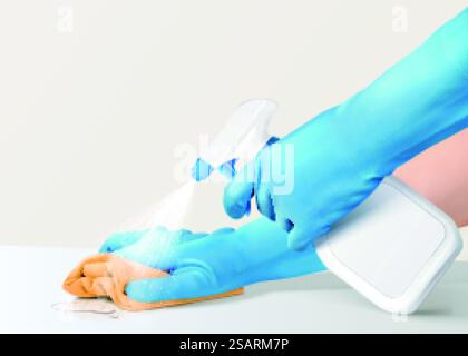 Flacon pulvérisateur pour une utilisation plus propre Illustration de Vecteur