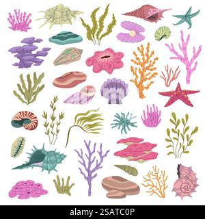 Coquillage algues coraux. Couleur conques sous-marines, éléments de plage d'hawaï, récifs sauvages, belle nature océanique, coquille et étoile de mer, décorations d'aquarium vecteur tidy dessiné à la main isolé sur l'ensemble blanc. Coquillage algues coraux. Couleur conques sous-marines, éléments de plage d'hawaï, récifs sauvages, belle nature océanique, coquille et étoile de mer, décorations d'aquarium tidy vecteur dessiné à la main ensemble isolé Illustration de Vecteur