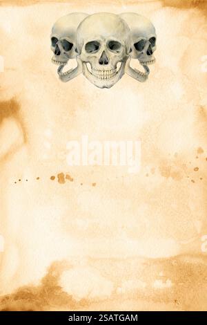 Vieux papier jauni avec des crânes. Manuscrit pirate avec des taches et des rayures. Fond d'aquarelle avec des gouttes de peinture, imitation de la texture manuscrite ancienne en couleur sépia. Arrière-plan abstrait flou. Banque D'Images