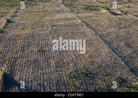 couverture de filet unique de contrôle de l'érosion paysagère installée sur un terrain vide pour protéger contre les mauvaises herbes et l'érosion hydrique Banque D'Images