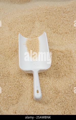 Cuillère blanche avec du riz cru sur un lit de grains de riz. Banque D'Images