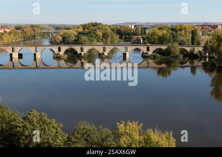 Pont de pierre de Zamora et la rivière Duero dans une journée ensoleillée en automne. Banque D'Images