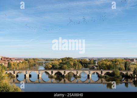Pont de pierre de Zamora et la rivière Duero dans une journée ensoleillée en automne. Banque D'Images