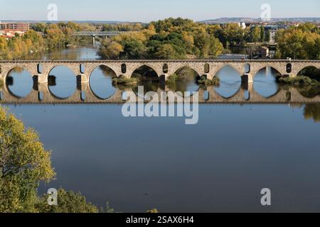 Pont de pierre de Zamora et la rivière Duero dans une journée ensoleillée en automne. Banque D'Images