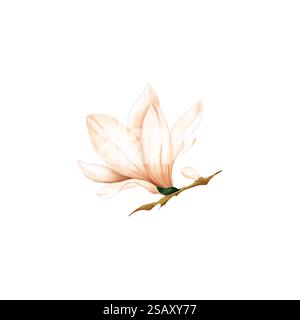 Ensemble de fleurs de magnolia rose clair, brindilles et feuilles. Illustration d'aquarelle florale. Fleur de printemps pour l'impression,. Banque D'Images