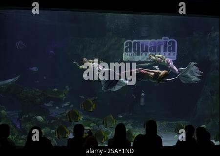 Spectacle sous-marin dans le réservoir de requins de l'Aquarium de Phuket, Thaïlande, Asie Banque D'Images