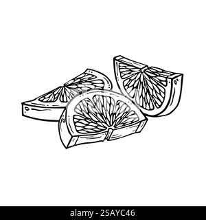 Tranches de citron. Illustration dessinée à la main d'agrumes. Dessin linéaire de lobules de chaux. Esquisse de citron. Art de la ligne noire de pamplemousse haché Illustration de Vecteur