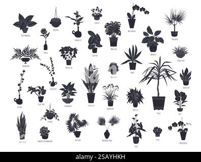 Ensemble de silhouettes noires de plantes d'intérieur en pot isolées sur fond blanc Illustration de Vecteur