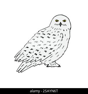 Vecteur dessin à la main doodle croquis coloré hibou enneigé polaire isolé sur fond blanc Illustration de Vecteur