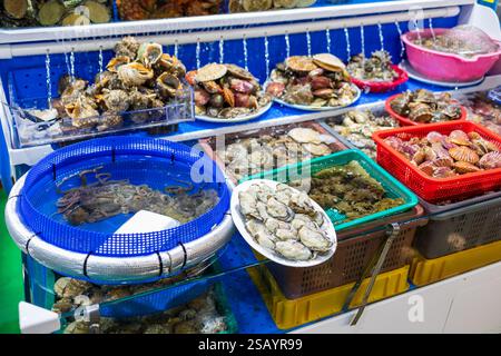 Étalage de fruits de mer avec un bol bleu d'huîtres. Il y a beaucoup de différents types de fruits de mer exposés Banque D'Images