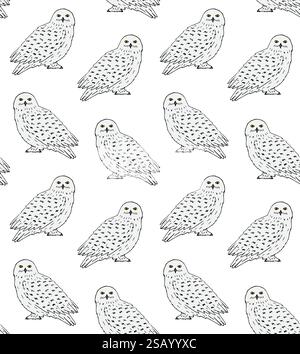 Vecteur modèle sans couture de dessin doodle dessiné à la main hibou blanc polaire enneigé isolé sur fond blanc Illustration de Vecteur