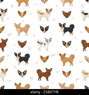 Motif sans couture Chion. Chihuahua papillon mix. Différentes couleurs de manteau. Illustration vectorielle Illustration de Vecteur