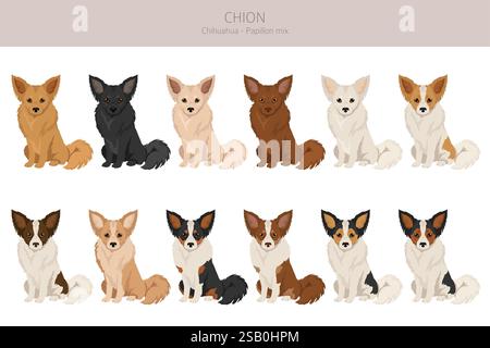 Chion clipart. Chihuahua papillon mix. Différentes couleurs de manteau. Illustration vectorielle Illustration de Vecteur