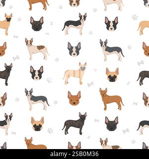 Bouledogue français Pitbull mix modèle sans couture. Bouledogue français - mélange Pit Bull terrier. Toutes les couleurs de pelage possibles, informations sur la race, adultes et chiots. Illustration de Vecteur
