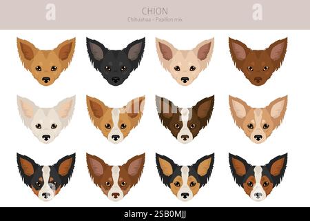 Chion clipart. Chihuahua papillon mix. Différentes couleurs de manteau. Illustration vectorielle Illustration de Vecteur