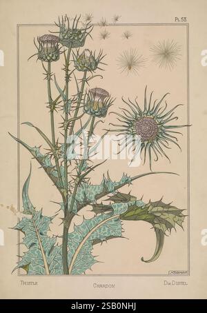 La plante, et ses applications ornementales, Paris, librairie centrale des Beaux-Arts, E. Lé​vy, éditeur [1896], décoration et ornement, fleurs dans l'art, formes végétales. Banque D'Images