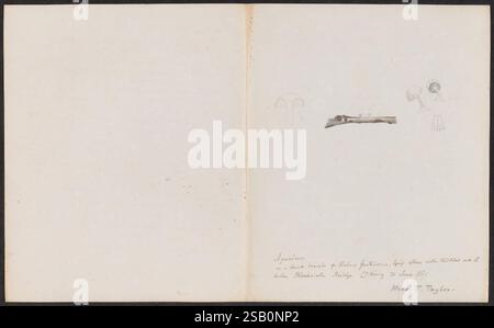 Dessins de champignons, pas avant 1839, champignons, œuvres picturales Banque D'Images