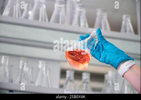 Scientifique dans un laboratoire mène une expérience avec un flacon contenant un liquide orange vif pendant la journée Banque D'Images