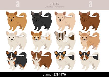 Chion clipart. Chihuahua papillon mix. Différentes couleurs de manteau. Illustration vectorielle Illustration de Vecteur