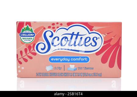 IRVINE, CALIFORNIE - 31 janvier 2025 : une boîte de mouchoirs Scotties. Banque D'Images