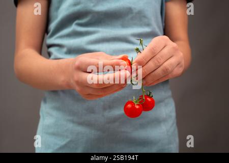 En tenant les tomates dans les mains, préparez des aliments sains avec des légumes, une nutrition biologique fraîche pour la salade Banque D'Images
