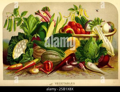 Jardin de fleurs et de légumes de Vick, Rochester, N. Y, publié par James Vick, [1878], catalogues, commerce, jardinage de fleurs, fleurs, jardinage, État de New York, Rochester, Rochester NY, graines, catalogues commerciaux, jardinage de légumes, légumes, haricots de beurre, haricots de cire, pois, plante de tarte, maïs doux, tomate, navet, laitue, pastèque, chou-fleur, courge, chou, aubergine, concombre, pastèque, céleri, carotte, betterave, betterave navet, radis, oignon, le poivron, Un assortiment vibrant de légumes frais est affiché en évidence, présentant une gamme variée de formes, de tailles et de couleurs. Au centre, un larg Banque D'Images