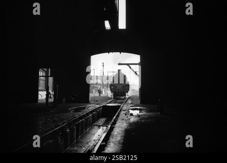 Locomotives à vapeur dans les hangars Oxley Wolverhampton 1967 photo de David Bagnall Banque D'Images