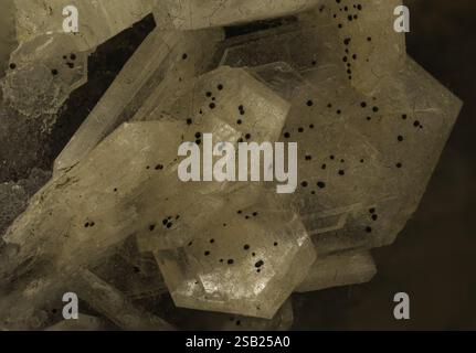Photographie macro détaillée montrant des cristaux minéraux transparents avec de nombreuses inclusions noires, nichés sur une surface de pierre granuleuse entourée d'intrica Banque D'Images
