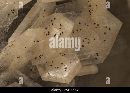 Photographie macro détaillée montrant des cristaux minéraux transparents avec de nombreuses inclusions noires, nichés sur une surface de pierre granuleuse entourée d'intrica Banque D'Images