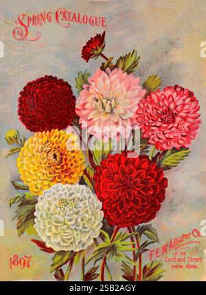 Graines de fleurs de légumes de haute qualité bulbes petits fruits printemps plantation New York F.E. McAllister fleurs arbres New York légumes baies jardinage graines de céréales New York State arbustes catalogues vitis gramineae plantes grimpantes arbres ornementaux matériel et fournitures pépinières horticulture bulbes plantes McAllister F.E. ferme histoires de jardin en fleurs, Une couverture de catalogue printanière vibrante de 1897, avec Un arrangement de superbes dahlias dans diverses nuances, y compris rouge foncé, rose doux, jaune vif, et blanc crémeux. Les fleurs sont luxuriantes et pleines, mettant en valeur leurs textures de pétales complexes. Banque D'Images