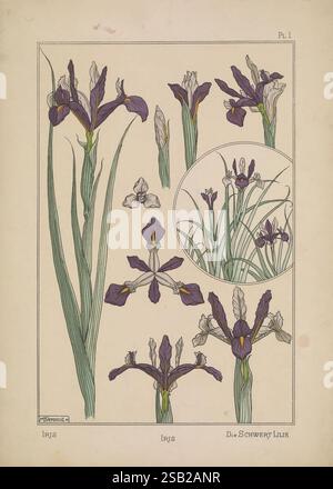 La plante et ses applications ornementales Paris librairie centrale des Beaux-Arts E. Lévy éditeur 1896 décoration ornement fleurs dans des formes végétales d'art Banque D'Images