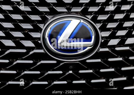 Munich, Allemagne. 31 janvier 2025. Le logo de la marque Lexus est visible sur la calandre d'une voiture du constructeur automobile de Munich (Bavière) le 31 janvier 2025. Lexus est une marque automobile de la Toyota Motor Corporation japonaise, qui est une multinationale et l'un des plus grands constructeurs automobiles au monde. Crédit : Matthias Balk/dpa/Alamy Live News Banque D'Images