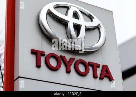 Munich, Allemagne. 31 janvier 2025. Les ellipses, le logo de la marque Toyota, peuvent être vues dans une succursale du constructeur automobile à Munich (Bavière) le 31 janvier 2025. Toyota Motor Corporation est une multinationale et l'un des plus grands constructeurs automobiles au monde. Crédit : Matthias Balk/dpa/Alamy Live News Banque D'Images