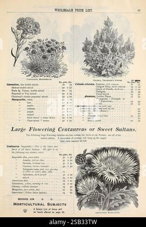 Liste trimestrielle des prix de gros de Dreer, Philadelphie, Pa, Henry A. Dreer, 1900, fleurs, légumes, graines, catalogues, pépinière, horticulture, Henry A. Dreer, bulbes, plantes, histoires de jardin, en fleur, sultans doux, centaureus, cette liste de prix de gros vintage présente une variété de plantes à fleurs et leurs détails associés. Sur la gauche, la liste comprend 'Carnation, Maureenette' et 'Marguerite', avec des spécifications sur les options de couleur et les prix. Le côté droit présente 'Colosia crinata' et 'Centauria margherita', mettant en valeur leurs caractéristiques et leurs coûts. Illustrations des fleurs en Banque D'Images