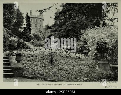 Journal de la Royal Horticultural Society of London Londres imprimé pour la Royal Horticultural Society par Spottiswoode & Co. botanique culture fruitière jardinage horticulture périodiques sociétés tuinbouw tuinen tuinieren, la scène représente un jardin serein, avec une variété de végétation luxuriante, y compris des buissons, des arbres et une pelouse bien entretenue. En arrière-plan, un grand bâtiment, caractérisé par des détails architecturaux, s'élève au-dessus de la verdure, soulignant un sentiment d'élégance. Des marches de pierre mènent à travers le jardin, invitant à l'exploration, tandis que les plantes ornementales ajoutent au charme du L. Banque D'Images