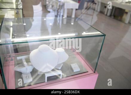 Patna, Inde. 31 janvier 2025. PATNA, INDE - JANVIER 31 : équipe médico-légale et personnel de police inspectant après butin de bijoux et d'argent de Rs 40 lakhs de la boutique de bijoux Giva par des voleurs d'armes à Saguna More, Danapur le 31 janvier 2025 à Patna, Inde. (Photo de Santosh Kumar/Hindustan Times/Sipa USA) crédit : Sipa USA/Alamy Live News Banque D'Images