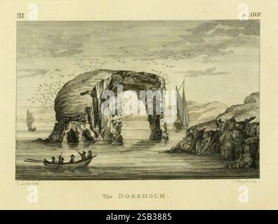 Arctique, zoologie, Londres, imprimé par Henry Hughs, 1784-1785, animaux, régions arctiques, oiseaux, Amérique du Nord, zoologie, Arctique, Un paysage marin spectaculaire avec une magnifique arche rocheuse dressée majestueusement sur fond de nuages et de collines lointaines. La structure est ornée de falaises déchiquetées, mettant en valeur la beauté brute de la nature. Ci-dessous, un petit bateau glisse dans l'eau, suggérant exploration et aventure. Dans le ciel, des troupeaux d'oiseaux peuvent être vus, améliorant le sentiment de vie et de mouvement. La composition évoque un sentiment de grandeur et d'admiration, capturant l'essence de cette étonnante la naturelle Banque D'Images