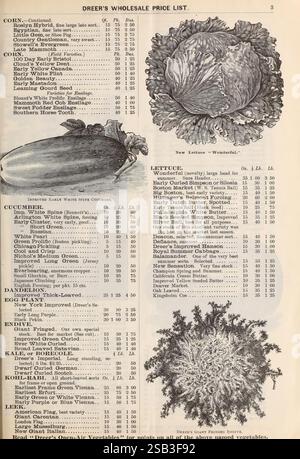 Liste de prix de gros de Dreer Philadelphia Pa. The Company Flowers Philadelphia Vegetables Pennsylvania Seeds catalogues de laitue endive pépinière pépinières horticulture bulbes plantes semences industrie et commerce Dreer Henry Une ferme histoire de jardin en fleurs, Une liste de prix détaillée pour divers produits agricoles de Dreer's Wholesale, avec des entrées illustrées pour plusieurs légumes. Le document comprend des sections sur le maïs, le chou, les concombres et la laitue, fournissant des spécifications telles que les noms des variétés et les prix de gros par livre. Les mentions notables incluent "New Lottice - 'Wonderful'" pour Cabbag Banque D'Images