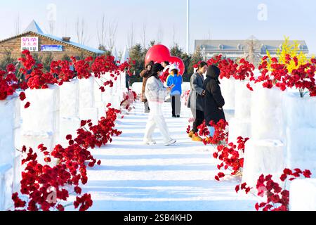 HOHHOT, CHINE - 31 JANVIER 2025 - les touristes marchent sur le couloir de glace et de neige rose du 4e Festival de glace et de neige de Hohhot 2025 à Hohhot, Mongo intérieur Banque D'Images