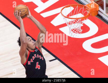 Toronto, Canada. 31 janvier 2025. Scottie Barnes des Raptors de Toronto dunk lors du match de saison régulière de la NBA 2024-2025 entre les Raptors de Toronto et les Bulls de Chicago à Toronto, Canada, le 31 janvier 2025. Crédit : Zou Zheng/Xinhua/Alamy Live News Banque D'Images