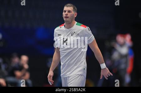 Oslo, Norvège. 31 janvier 2025. Handball : Championnat du monde, Danemark - Portugal, finale, demi-finale, Unity Arena, le portugais Rui Silva. Crédit : Soeren Stache/dpa/Alamy Live News Banque D'Images