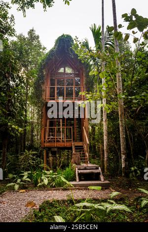 Nichée au milieu des verts vibrants, cette charmante cabane dans les arbres offre un havre de paix. Entouré d'arbres imposants et d'un feuillage exotique, il invite les amoureux de la nature à se détendre et à explorer. Banque D'Images