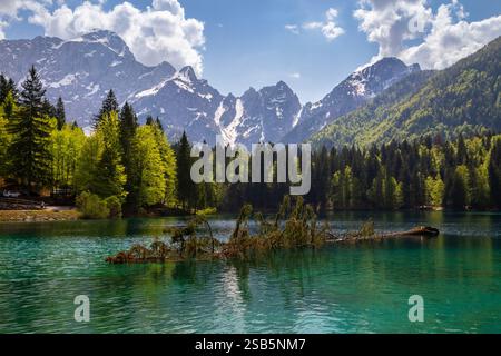 Vue sur le parc naturel supérieur des lacs Fusine, Tarvisio, province d'Udine, Friuli Venezia Giulia, Italie. Banque D'Images