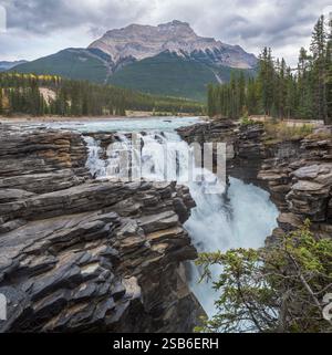 La vue sur les chutes Athabasca est pleine d'énergie et de puissance, coupant son chemin à travers les rochers. Banque D'Images