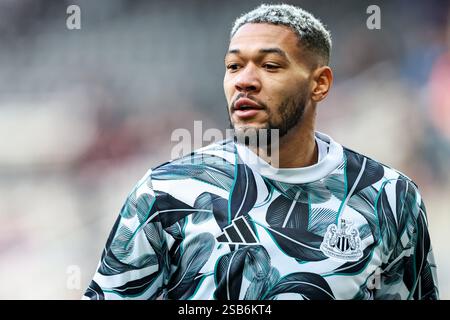 Newcastle, Royaume-Uni. 1er février 2025. Joelinton de Newcastle United WARMS Up avant le match de premier League Newcastle United vs Fulham au James's Park, Newcastle, Royaume-Uni, le 1er février 2025 (photo de Mark Cosgrove/News images) à Newcastle, Royaume-Uni le 2/1/2025. (Photo de Mark Cosgrove/News images/SIPA USA) crédit : SIPA USA/Alamy Live News Banque D'Images