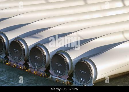 Le Havre, France, Europe - 16 janvier 2025 : fin de grandes pales d'éoliennes fabriquées par Siemens stockées à quai dans le port du Havre. Banque D'Images