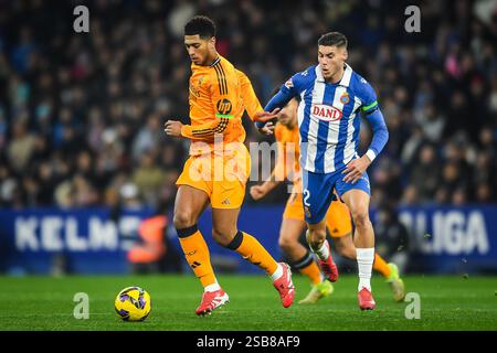 Barcelone, Espagne. 1er février 2025. Jude BELLINGHAM du Real Madrid et Roberto FERNANDEZ d'Espanyol Barcelone lors du match de football de la Liga entre le RCD Espanyol et le Real Madrid CF le 1er février 2025 au stade RCDE de Barcelone, Espagne - photo Matthieu Mirville (Segio Ros)/DPPI crédit : DPPI Media/Alamy Live News Banque D'Images